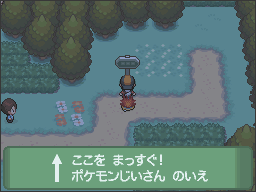Dieser Screenshot zeigt ein Schild auf Route 30, dass dem Spieler den Weg zu Mr. Pokémons Haus weist.